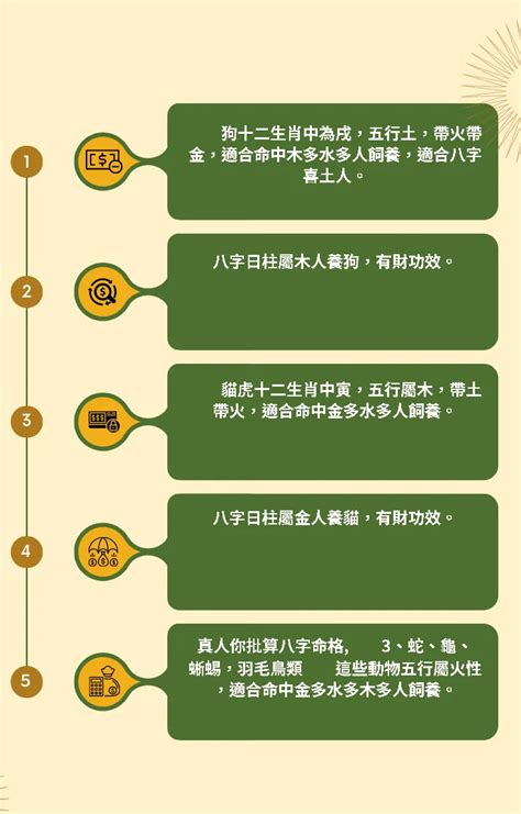 國家五行屬性|【國家 五行】各國五行解密：適合你的旅遊勝地在哪裡？